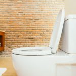 Vasul de toaletă: Clasic vs. suspendat – Pro sau contra?
